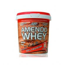Amendo Whey - 400G  - New Millen