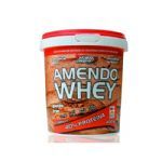 Amendo Whey - 400G  - New Millen