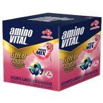 AminoVital Gold - 15 Sach�s 6g Frutas Vermelhas - Amino Vital