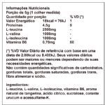BCAA 2,5:1:1 em p� - 300g Tangerina - Solaris Nutrition