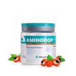 Bcaa Aminodop 4:1:1 - 300g Guaran� - ElementoPuro*** Data Venc. 08/03/2022