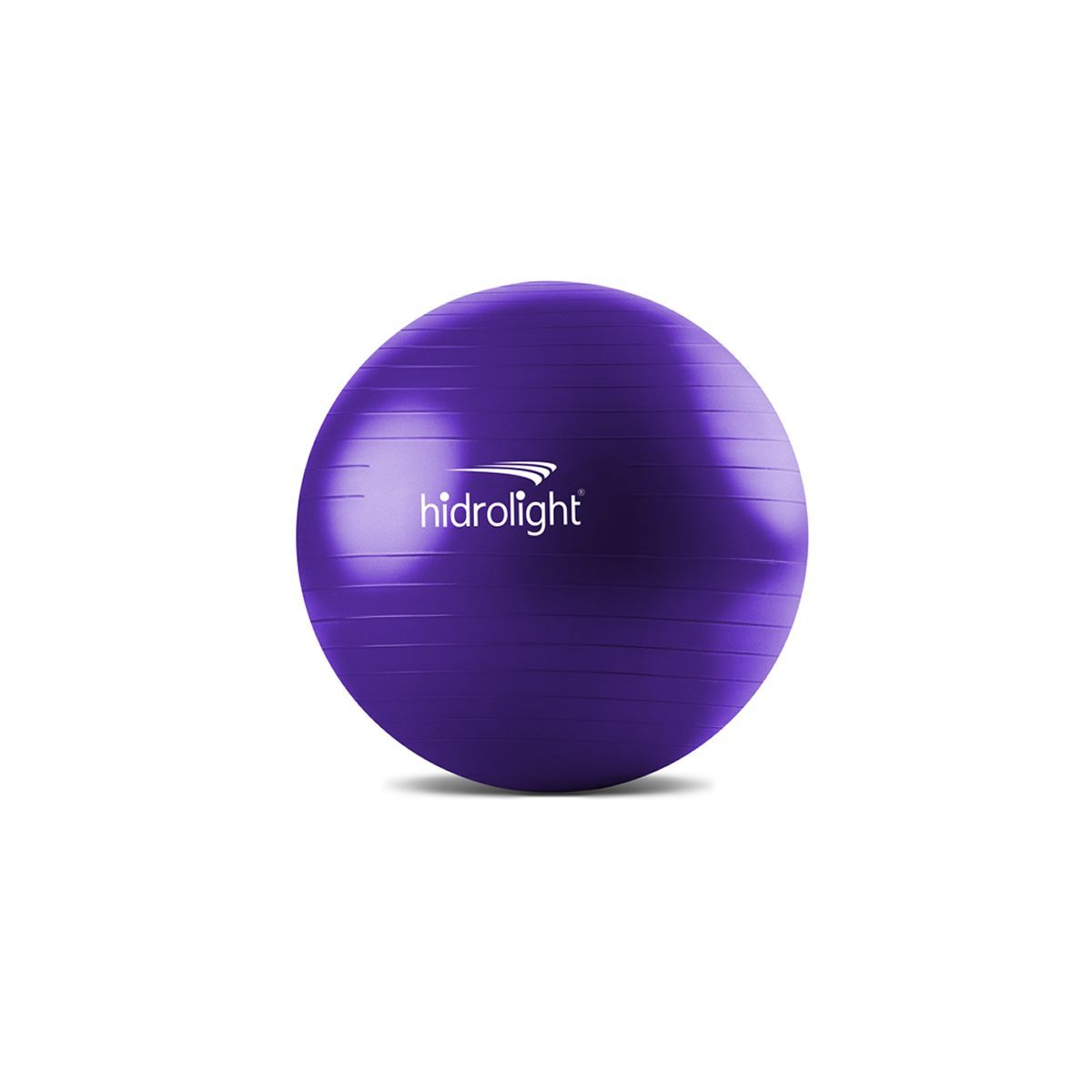 Bola de Exerc�cios - 45cm Violeta - Hidrolight