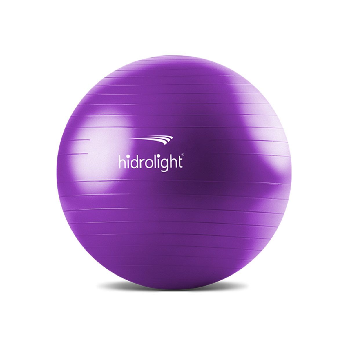 Bola de Exerc�cios - 65cm Roxa - Hidrolight