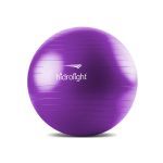 Bola de Exerc�cios - 65cm Roxa - Hidrolight