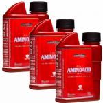 Combo 3 Amino Acid 38000 (ZMA Cr) - Morango 600ml - Integralm�dica