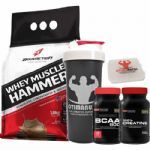 Combo - Whey Muscle Hammer 1800g Chocolate + Bcaa 120 tabs + Creatina + Porta Caps + Coqueteleira - Body Action