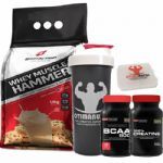 Combo - Whey Muscle Hammer 1800g Cookies e Cream + Bcaa 120 tabs + Creatina + Porta Caps + Coqueteleira - Body Action