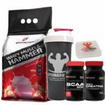 Combo - Whey Muscle Hammer 1800g Morango + Bcaa 120 tabs + Creatina + Porta Caps + Coqueteleira - Body Action