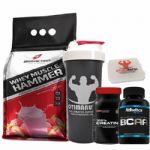 Combo - Whey Muscle Hammer 900g Morango + Bcaa 120 tabs + Creatina + Porta Caps + Coqueteleira - Body Action