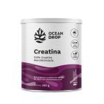 Creatina Monohidratada - 300g - Ocean Drop