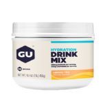 Hydration Drink Mix - Blueberry Pomegranate 456g - GU