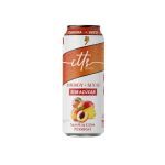Itts Energy + Suco Sem A�ucar - Lata 473ml Manga Com P�ssego - Itts Sero