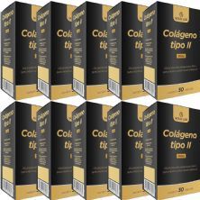 Kit 10X Col�geno Tipo II - 30 C�psulas - Gold Lab