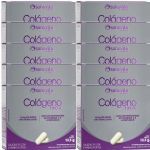 Kit 10X Col�geno Tipo II - 30 C�psulas - Sanavita