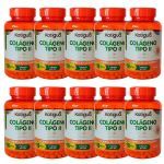 Kit 10X Col�geno Tipo II 40mg - 90 C�psulas - Katigu�