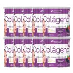 Kit 10X Col�geno Verisol Com Hialur�nico - 200g Frutas Vermelhas - BodyAction