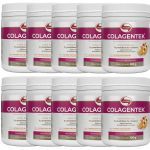 Kit 10X Colagentek - 300g Laranja Com Acerola - Vitafor