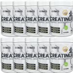 Kit 10X Creatina Up Monohidratada Vegano - 100g Natural - Nutrata