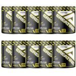 Kit 10X Creatine Platinum Series  - 300g - Adaptogen