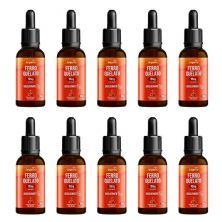 Kit 10X Ferro Quelato 10mg Gotas - 30ml Doce de Leite - Bigens