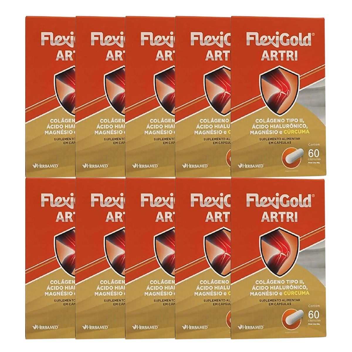 Kit 10X Flexigold Artri - 60 C�psulas - Herbamed
