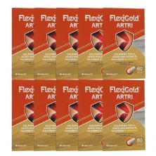 Kit 10X Flexigold Artri - 60 C�psulas - Herbamed