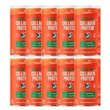 Kit 10X Grass Fed Balance Collagen Protein - 450g Neutro - Bigens