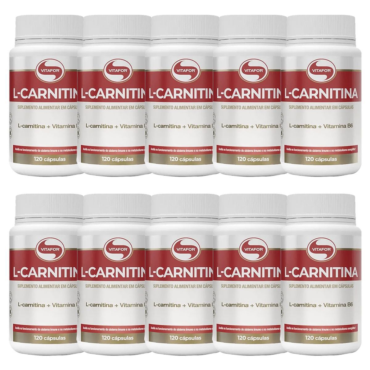 Kit 10X L-Carnitina + Vitamina B6 - 120 C�psulas - Vitafor