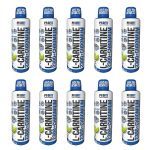 Kit 10X L-Carnitine 2300+Chromium - 480ml Lim�o - ProFit