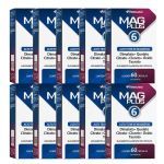 Kit 10X MagPlus 6 - 60 C�psulas - Herbamed