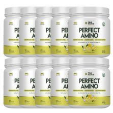 Kit 10X Perfect Amino - 360g Citrus Rush - True Source