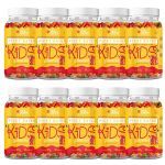 Kit 10X Picky Eater Multivitamin For Kids - 30 Gomas Frutas Vermelhas - True Source