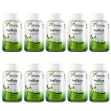 Kit 10X Psyllium 500Mg 60 C�psulas - Fitoway