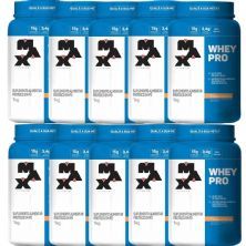 Kit 10X Whey Pro - 1000g Vitamina de Frutas - Max Titanium