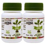 Kit 2X Ado�ante 100% Natural - 40g - Color Andina