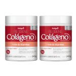 Kit 2X Col�geno Hidrolisado - 240g Frutas Vermelhas - Katigu�