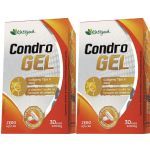 Kit 2X Condrogel Col�geno Tipo II - 30 C�psulas - Katigu�