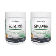 Kit 2X Creatina + HMB + ZMA + BORO - 300g Lim�o Siciliano - Endogen