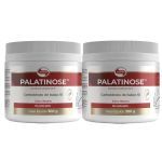 Kit 2X Palatinose - 300g Neutro - Vitafor