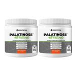 Kit 2X Palatinose - 300g Tangerina - NewNutrition