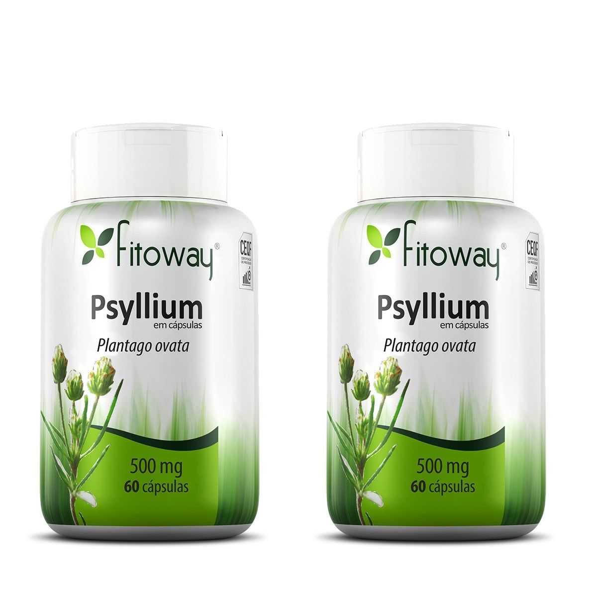 Kit 2X Psyllium 500Mg 60 C�psulas - Fitoway