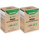 Kit 2X Vegan MSM + Malato de Magn�sio - 60 C�psulas - VitaminLife