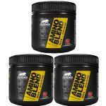 Kit 3X Amino Blend 9 EAA + Arginina - 155g Frutas Vermelhas - Leader Nutrition