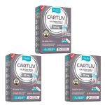 Kit 3X Cartliv Col�geno Tipo II - 30 C�psulas - Equaliv