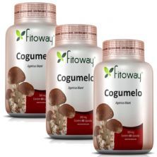 Kit 3X Cogumelo Agaricus Fitoway 300Mg - 60 C�psulas - Fitoway