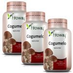 Kit 3X Cogumelo Agaricus Fitoway 300Mg - 60 C�psulas - Fitoway