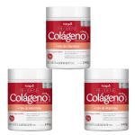 Kit 3X Col�geno Hidrolisado - 240g Frutas Vermelhas - Katigu�