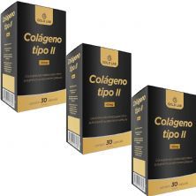 Kit 3X Col�geno Tipo II - 30 C�psulas - Gold Lab