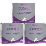 Kit 3X Col�geno Tipo II - 30 C�psulas - Sanavita