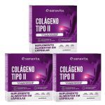 Kit 3X Col�geno Tipo II - 30 C�psulas - Sanavita
